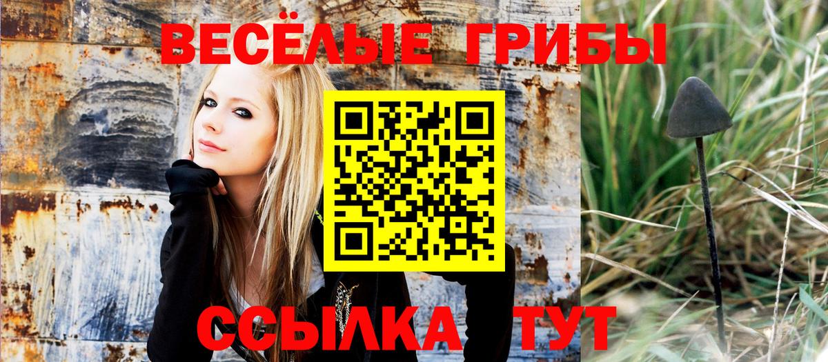 Псилоцибиновые грибы Magic Shrooms  Вход с VPN  Котовск 